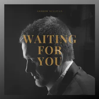 Waiting for You by Andrew Sullivan