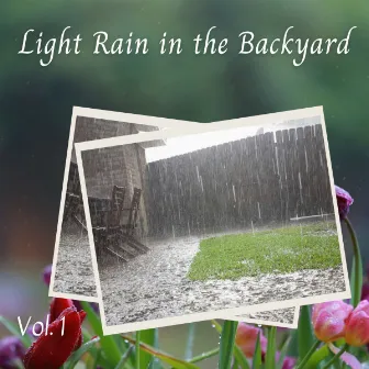 Light Rain in the Backyard Vol. 1 by REGN