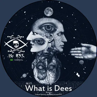 What Is Dees by M.I.T.