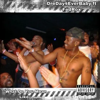 What Do You Mean Like by DreDay4EverBaby