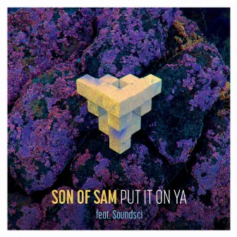 Put It on Ya by Son Of Sam