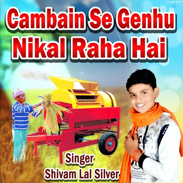 Cambain Se Genhu Nikal Raha Hai