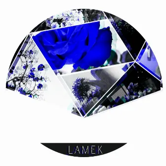 C.A.N by LAMEK