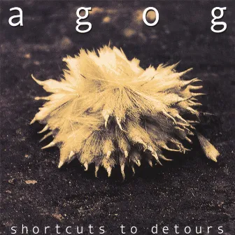 Shortcuts To Detours by Agog