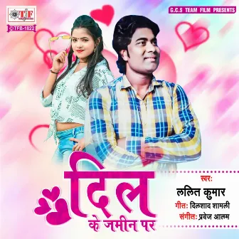 Dil Ke Jamin Par by Lalit Kumar