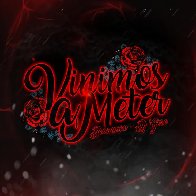 Vinimos a Meter