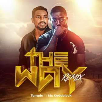 The Way (Remix) by Temple Nation