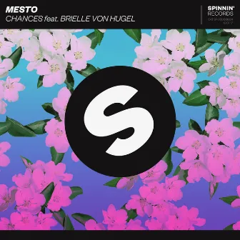 Chances (feat. Brielle Von Hugel) by Mesto