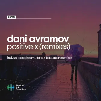 Positive X ( Remixes ) by Dani Avramov