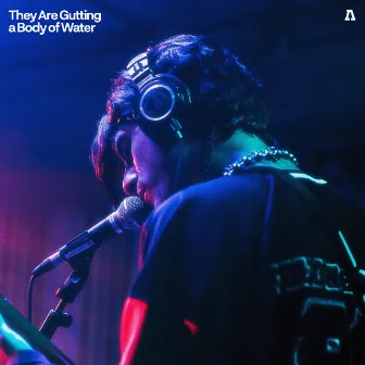 They Are Gutting a Body of Water on Audiotree Live by They Are Gutting a Body of Water