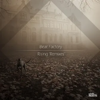 Rising (Remixes) by Beat Factory