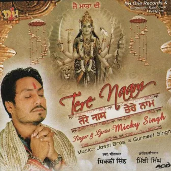 Tere Naam by Mickey Singh