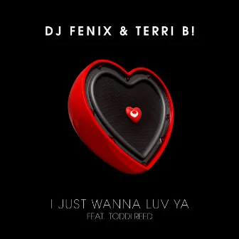 I just wanna luv ya by DJ Fenix