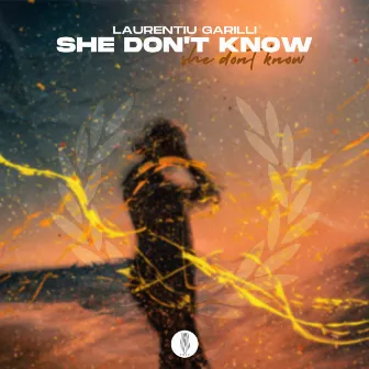 She Don't Know by Laurentiu Garilli