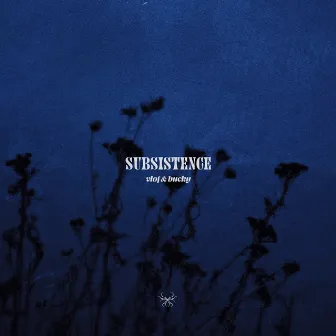 Subsistence by Vlof.