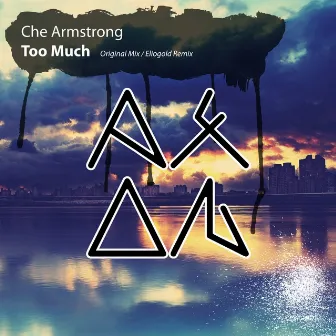 Too Much by Che Armstrong