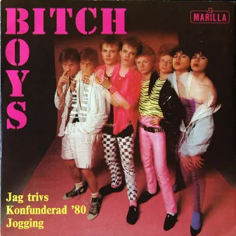 Jag Trivs by Bitch Boys