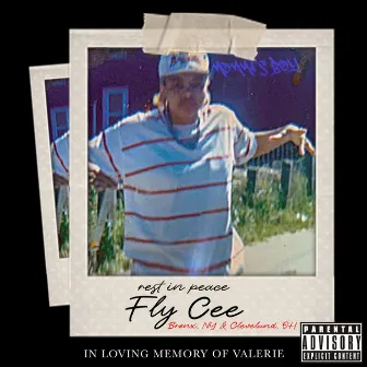 Fly Cee by RTN Shank