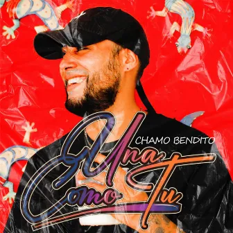 Una Como Tu by Chamo Bendito