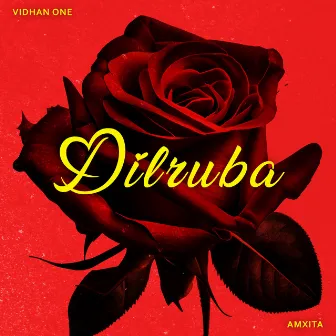 Dilruba by Vidhan One