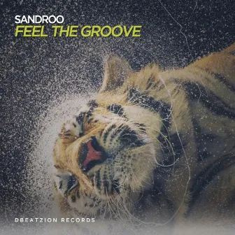 Feel The Groove by Sandroo