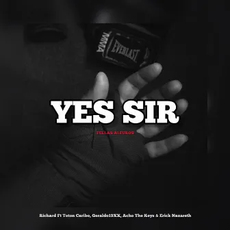 Yes Sir by Richard Yerussa