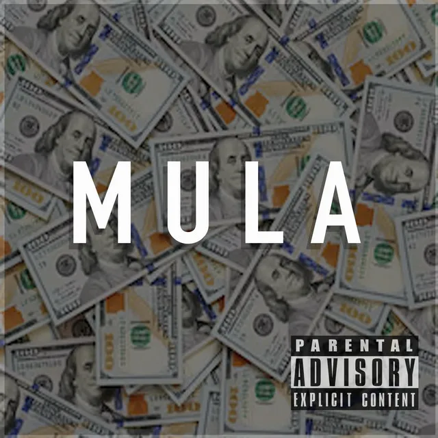 Mula