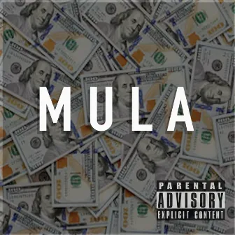 Mula by Dark Side Association