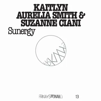 Closed Circuit by Suzanne Ciani