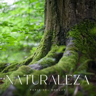 Naturaleza: Furia Del Bosque by Ambiente de Tormenta