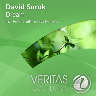 Dream by David Surok