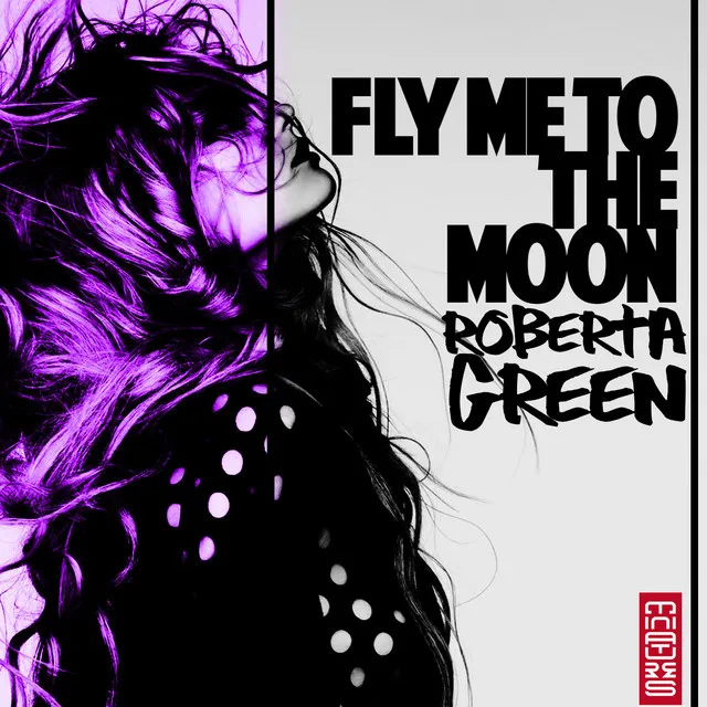 Fly Me to the Moon - Radio Edit