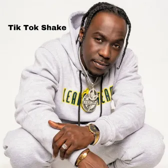 Tik Tok Shake by Kertasy