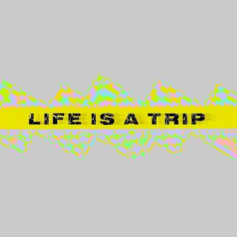 life is a trip by Viggo