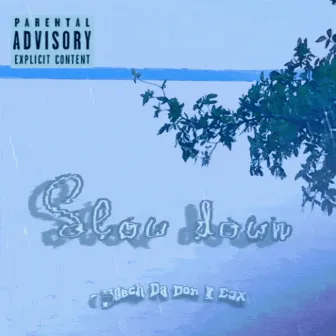 Slow Down by Meech Da Don