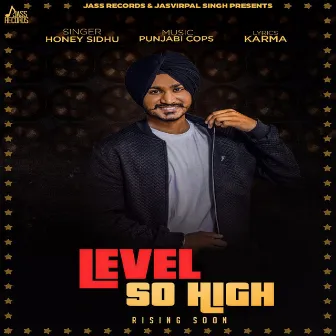 Level So High by Honey Sidhu