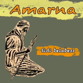 Sidi belabess by Amarna