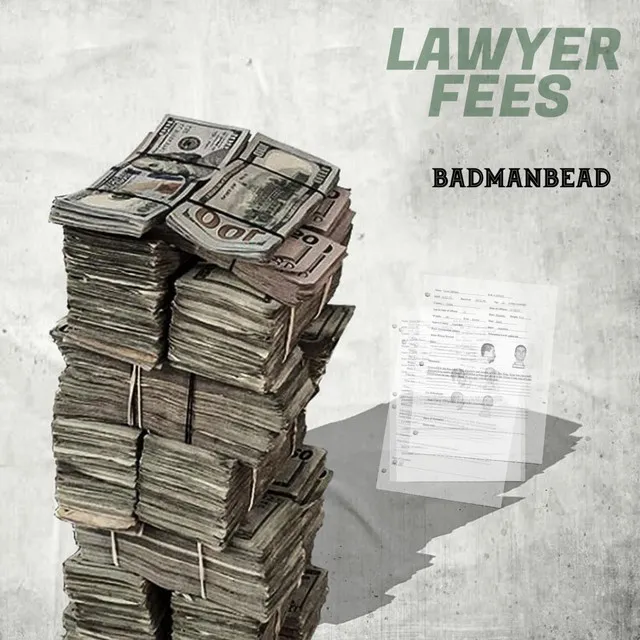 Lawyer Fees