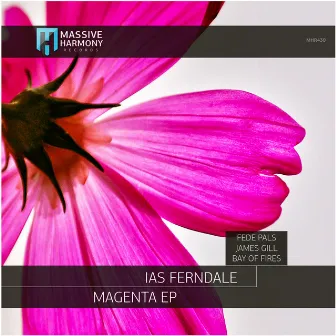 Magenta by Fede Pals