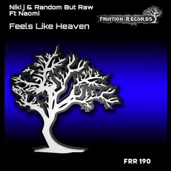 Feels Like Heaven by Niki J