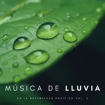 Música De Lluvia En La Naturaleza Pacífica Vol. 2 by Música de concentración profunda