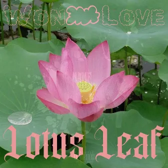 Lotus leaf by Wonlove