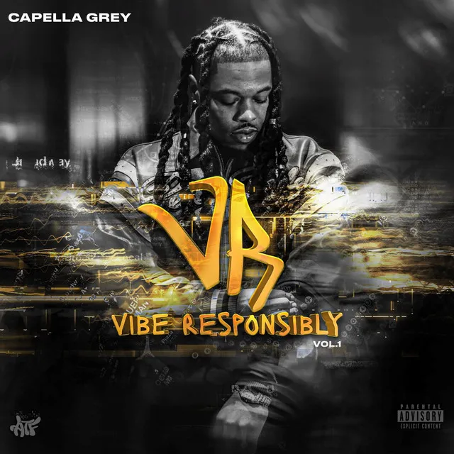 Vibe Responsibly, Vol. 1