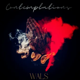 Contemplations by Wals