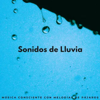 Sonidos De Lluvia: Música Consciente Con Melodías De Pájaros by Pajaros Exoticos