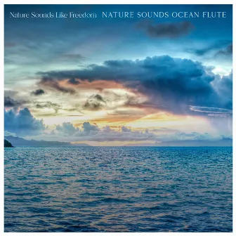 Nature Sounds Ocean Flute by Nature Sounds Like Freedom