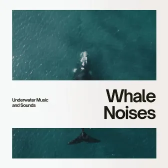 Whale Noises Deep Underwater & Ocean by Underwater Music and Sounds