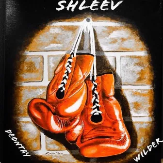 Deontay Wilder by ShleeV