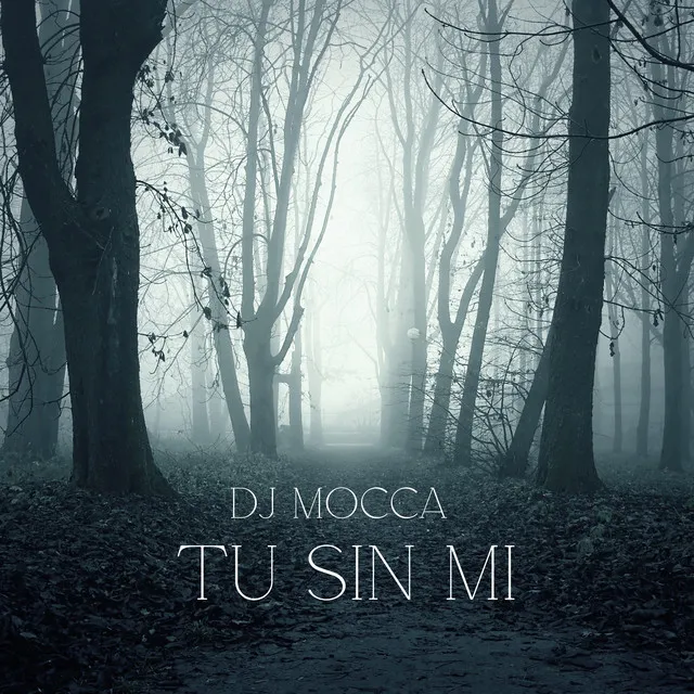 Tu Sin Mi - Remix