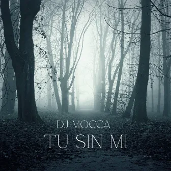 Tu Sin Mi (Remix) by DJ MOCCA